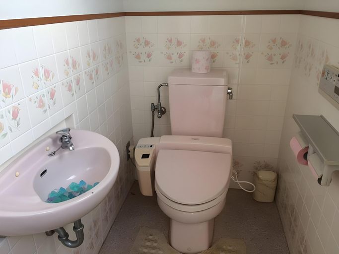 Bathroom 2, Gourmet Pension Aoiumi, Shima