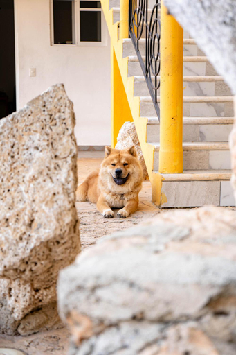 Others 5, Buenosdias Izamal, Izamal