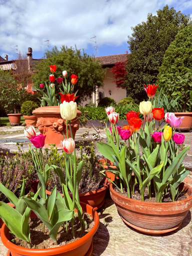 Others 1, Maison Jardin, Cremona