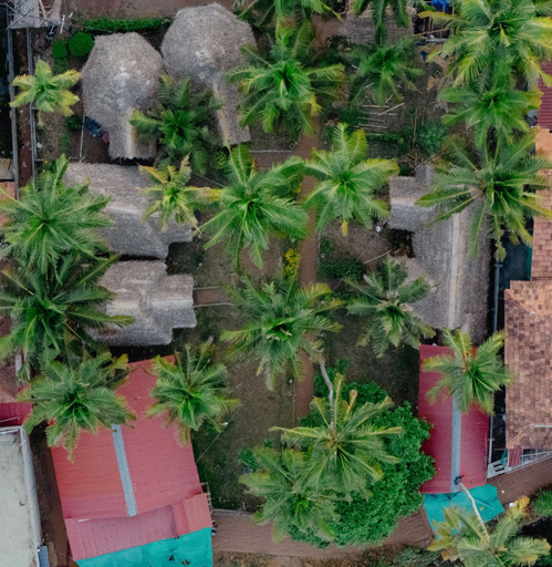 Others, Bamboo Village, Thiruvananthapuram