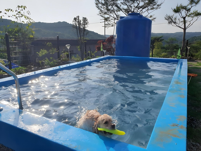 Sport & Beauty 5, Jjongi and Mary Pet Friendly Pension, Yeoncheon