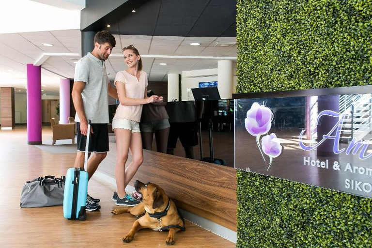Public Area, Ambient Hotel & Aromaspa Sikonda, Komlói