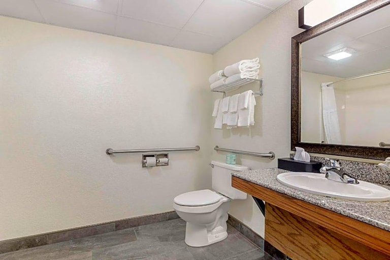 Bathroom 4, Comfort Inn Suites MT Rushmore, Pennington
