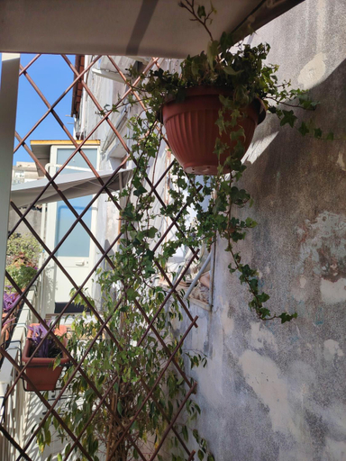 Others 3, Carmen House, Catania