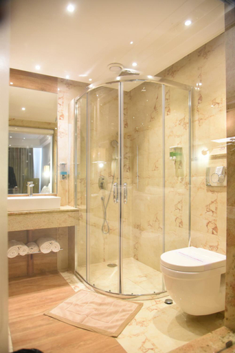 Bathroom 3, Hotel Accord Premier, Raigarh