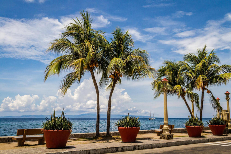 Others 5, Optimum Pension House, Dumaguete City