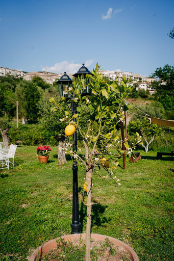 Others 5, Tenuta Le Tre Rose, Salerno