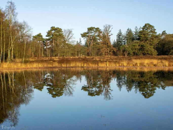 Others 4, Bungalow met omheinde tuin op de Veluwe, Nunspeet