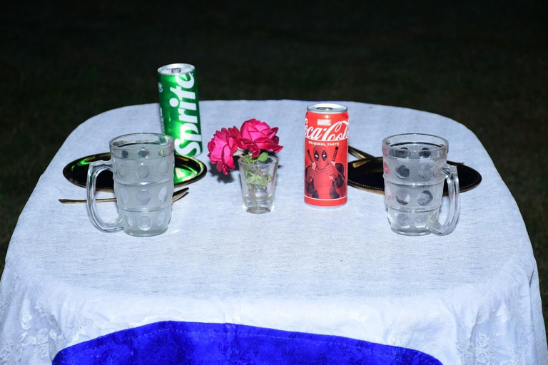 Food & Drinks 3, Pritampalace the nature camp , Sawai Madhopur