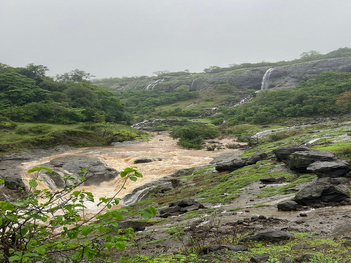 Others 5, Euphoria Wild Life Resort And Camping , Pune