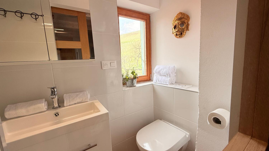 Bathroom, La maison des vignes, Haut-Rhin