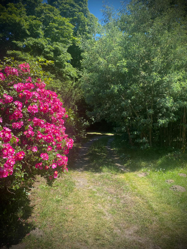 Others 3, Studio a Linxe entre terre et ocean, Landes