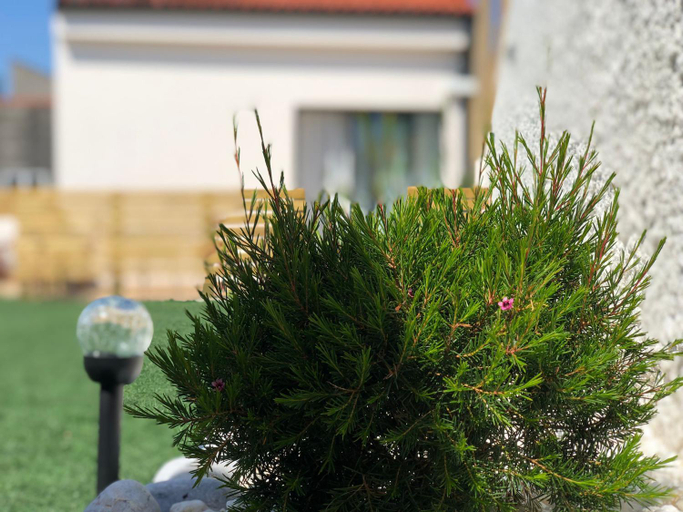 Garden 2, A caseta de Sil, A Coruña
