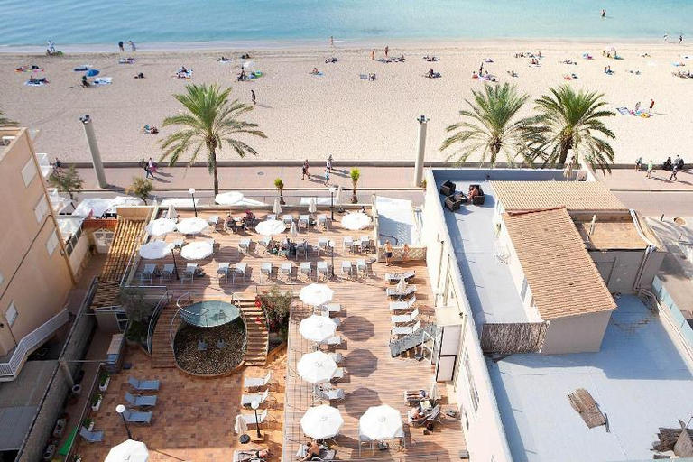 Others 5, PALMA BEACH HOTEL & APT Adults Only, Baleares