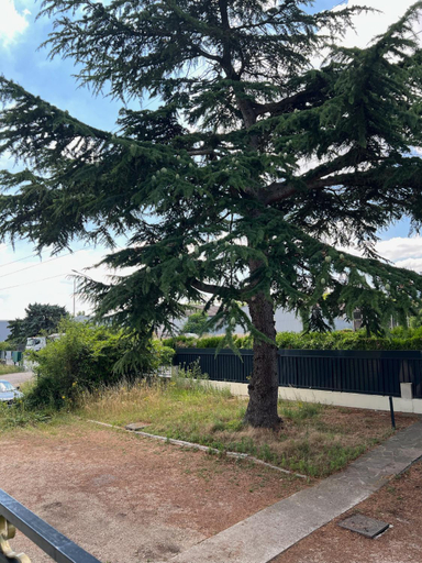 Others 4, Studio Platanes 1 - Proche Disneyland - Parking gratuit - Meaux, Seine-et-Marne