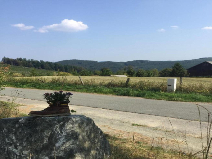 Others 4, Apartment with private terrace in Velmede, Hochsauerlandkreis