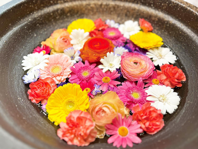 Food & Drinks 5, KIYOMORI, Hatsukaichi