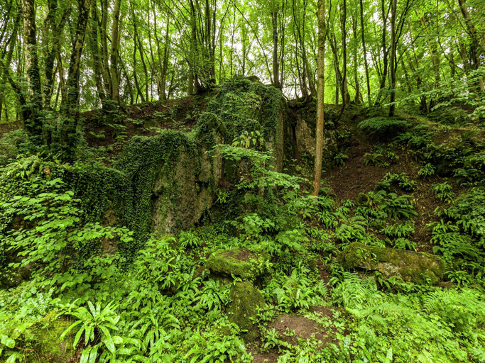 Others 5, Peaceful Nature Stay in Bohon, Luxembourg