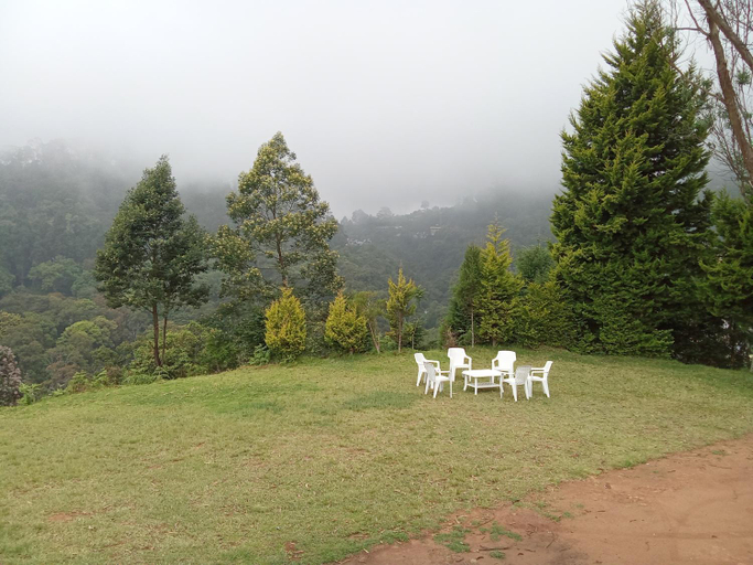 Others 3, Jungle view, The Nilgiris