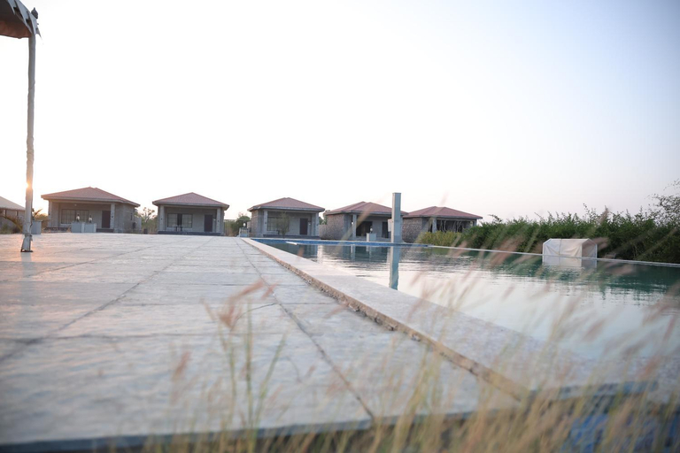 Sport & Beauty 2, Jawai Bera Leopard Camp, Pali
