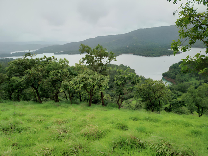 Others 5, Radhika Wooden Villas, Satara