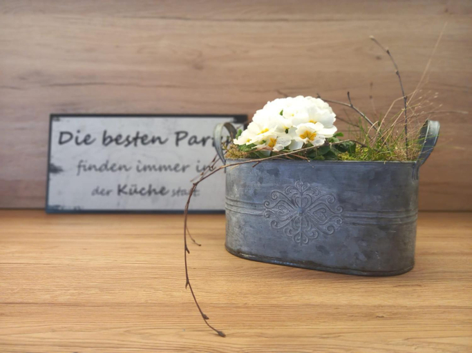 Food & Drinks 4, Auszeit, Bregenz