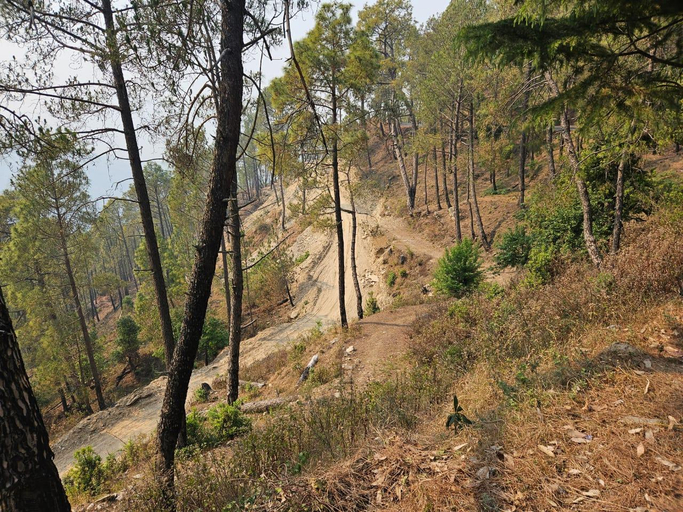 Others 5, Omvilla with Mountain View, Nainital