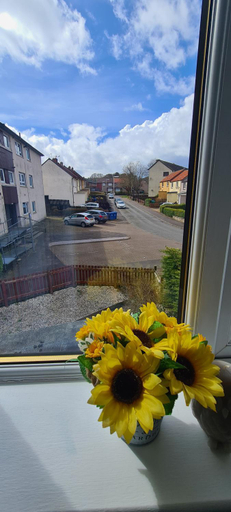 Others 3, Asal Family House, Fife