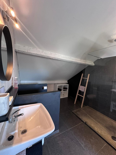 Bathroom 3, B&B 't zwart peird, West-Vlaanderen