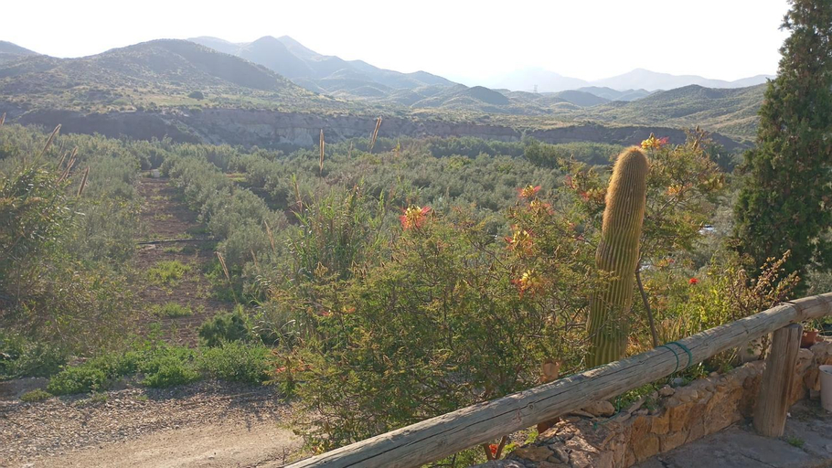Others 5, CORTIJO Rural MOLINO EL TARAHAL con piscina y zonas compartidas, Almería