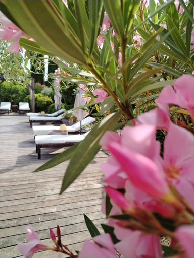 2, Guesthouse Le Mas de Cotignac, Var