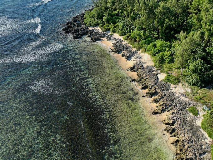 5, Surf 1 and Surf 2, Pango
