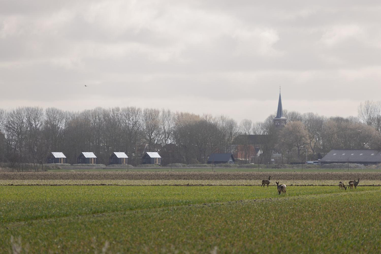 Others 3, Wad & Loft unieke paalwoning vlakbij de Waddenzee, Franekeradeel