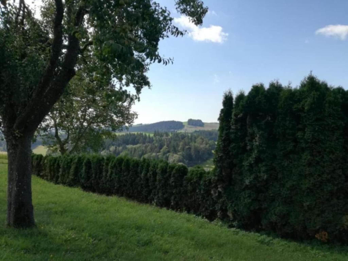 Others 2, Friedlicher Waldurlaub in Altenfeld, Ilm-Kreis