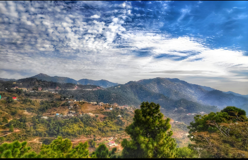 Others 5, Kasauli Greens - Homestay, Solan
