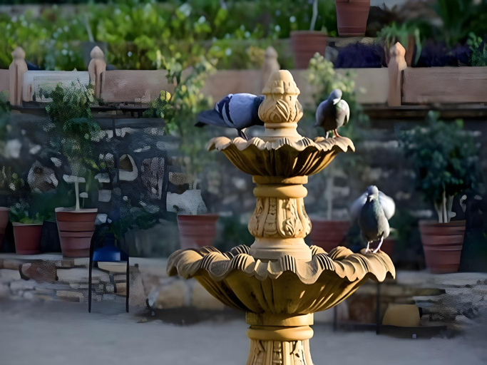 Others 5, Fort KhejArla, Jodhpur