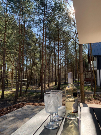 Others 2, Domy Lesne Szumy na Roztoczu - JACUZZI SAUNA SPA, Biłgoraj