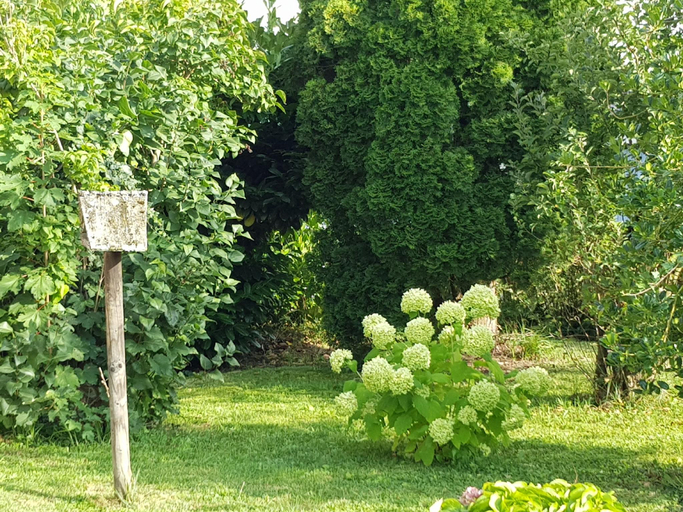 Others 5, Ferienhaus Jutta am Bodensee, Bodenseekreis