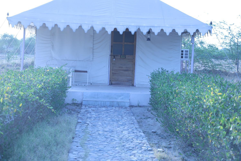 Others 3, Jawai Bera Leopard Camp, Pali