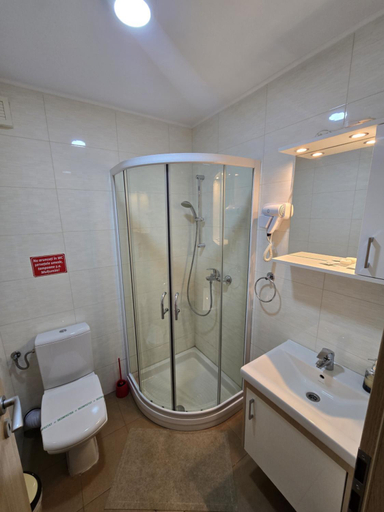 Bathroom, Pensiunea Alex, Maneciu-ungureni