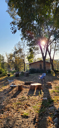 Others 5, The Birdhouse Villa, Kangra