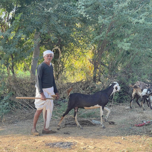 Facilities 2, Jaipur Eco Village, Jaipur
