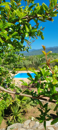 Others 4, Uliveto Garden, Reggio Di Calabria