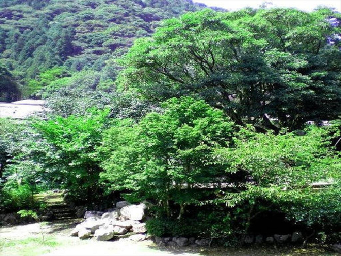 Others 3, Nanadaru-Onsen Togenoyu Ooyasou, Kawazu