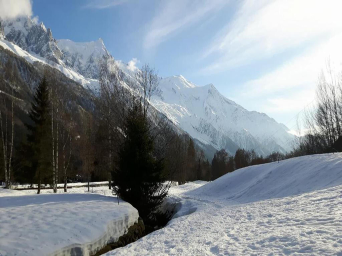 Others 3, Alpine Escape w Pool Views, Haute-Savoie