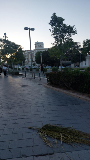 Others 3, Lyesblb, Valencia
