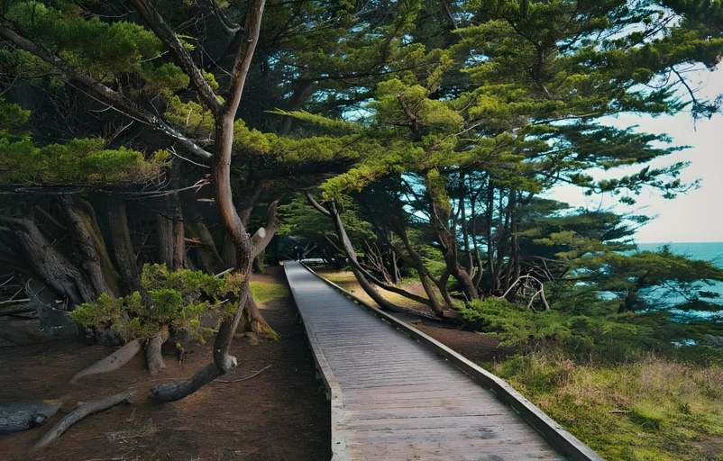Others 5, Ocean View Lodge, Mendocino