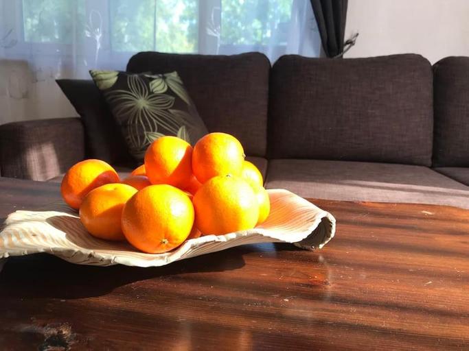 Food & Drinks, Tammsaare apartment close to beach, Pärnu