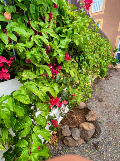 Others 3, Blue Wave House Corralejo, Las Palmas