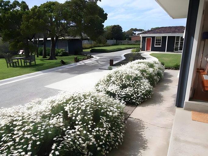 Others 2, Beeches by The Sea, Colac-Otway - South